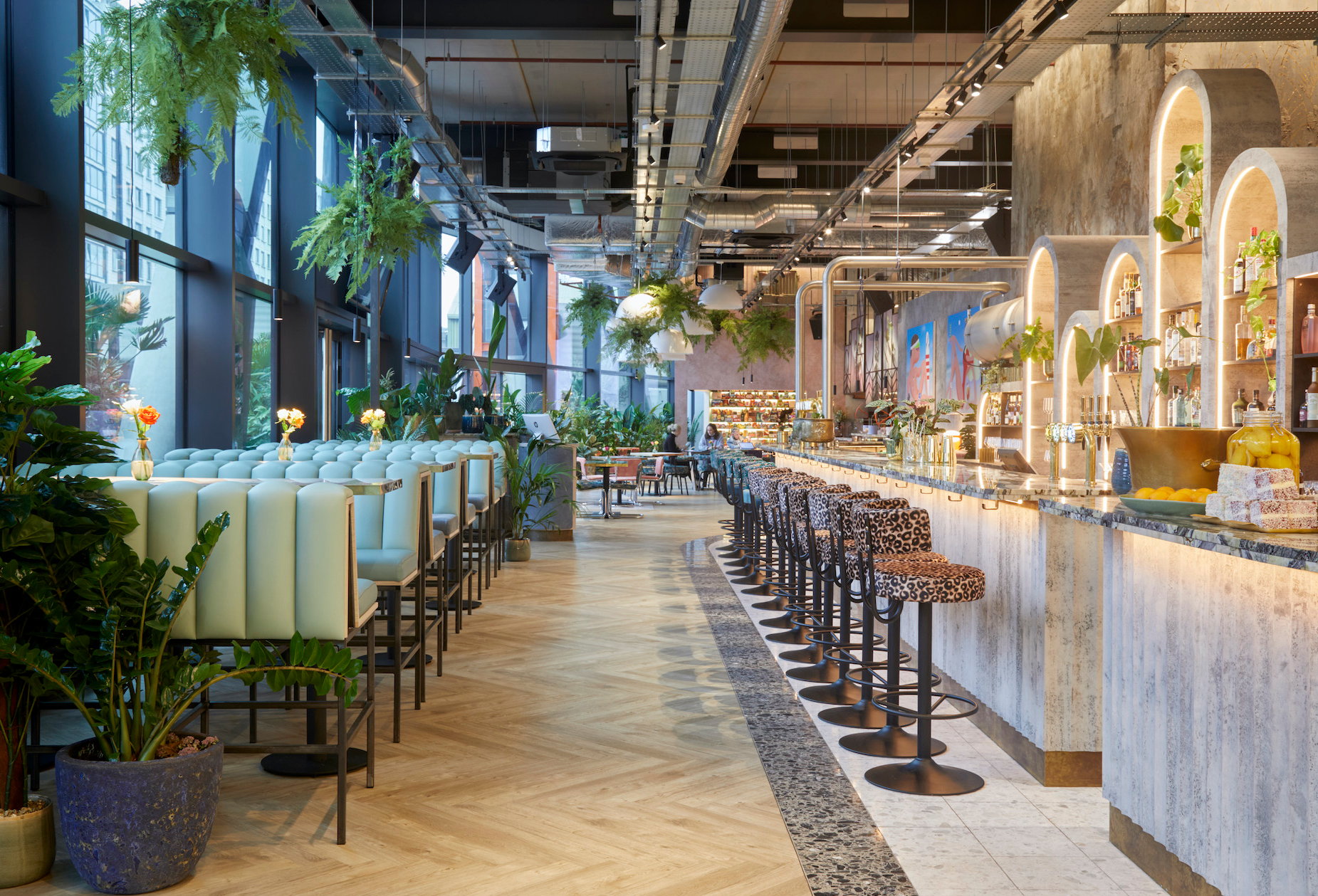 Daisy Green at Bondi Green 